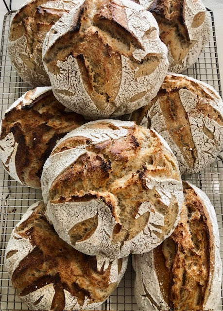 Park Wheat Sourdough